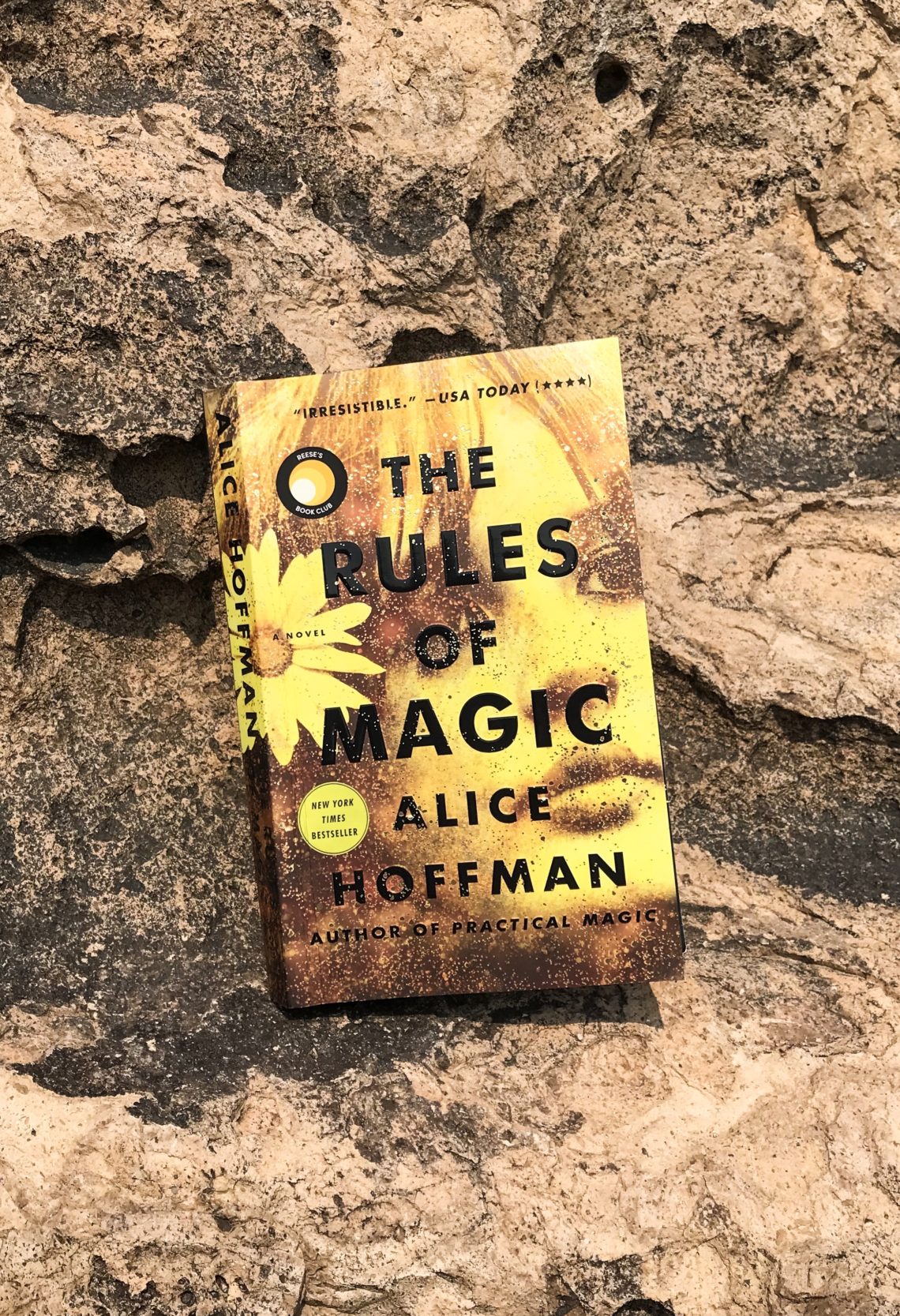 the rules of magic by alice hoffman