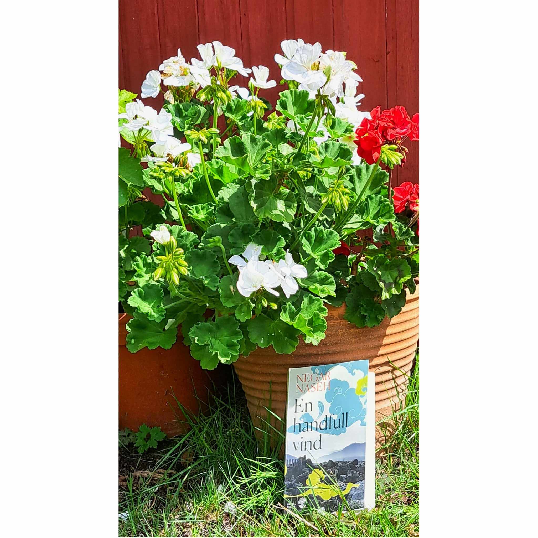 Bir ayol bilan onlayn guruh seks pornosini tomosha qiling Lezbiyenlar va yakkaxon onanizm